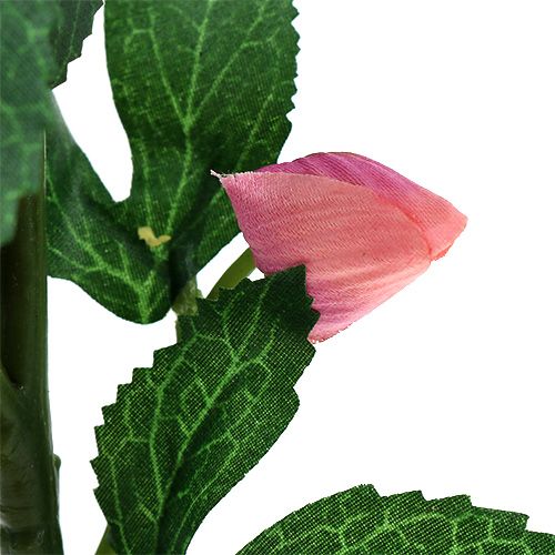 Floristik24 Vánoční růže růžová L22cm 1p