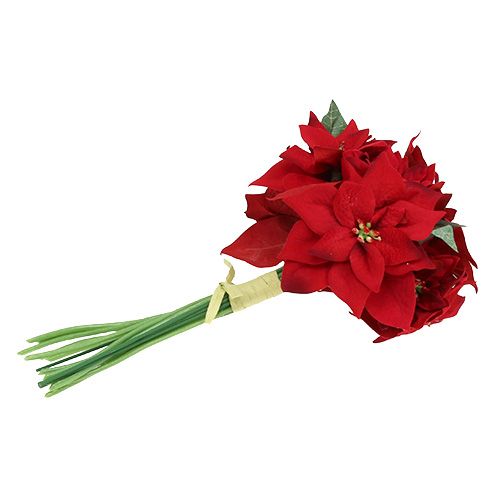 Floristik24 Vánoční hvězda v červeném svazku Ø18cm L30cm
