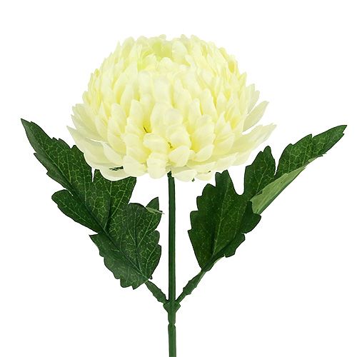 Floristik24 Chryzantéma krémová umělá Ø7cm L18cm