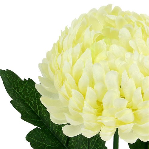 položky Chryzantéma krémová umělá Ø7cm L18cm