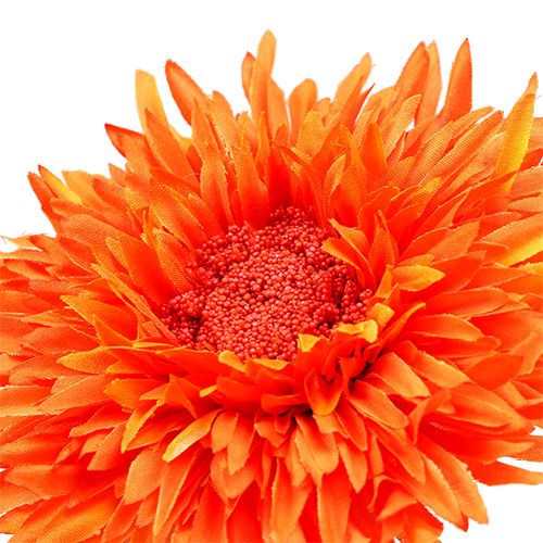 položky Chryzantéma Teddy 63 cm oranžová
