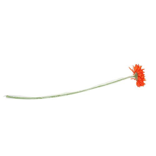 Floristik24 Chryzantéma Teddy 63cm oranžová