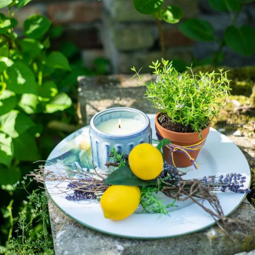 Floristik24 Citronella svíčka v květináči vonná svíčka citron Ø10,5cm V8cm
