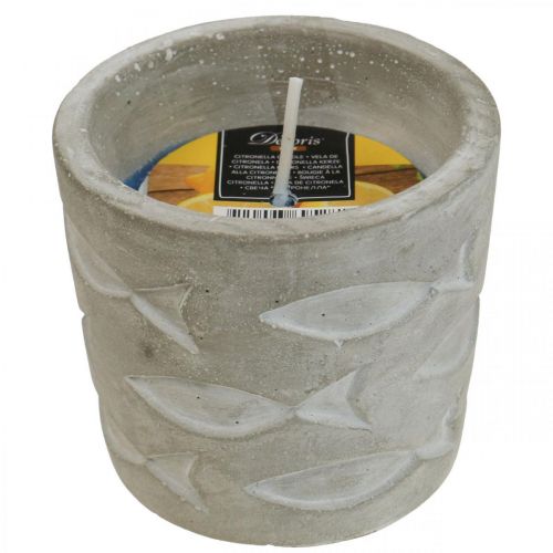 Floristik24 Citronella svíčka v květináči vonná svíčka citron Ø7,5cm V6,5cm