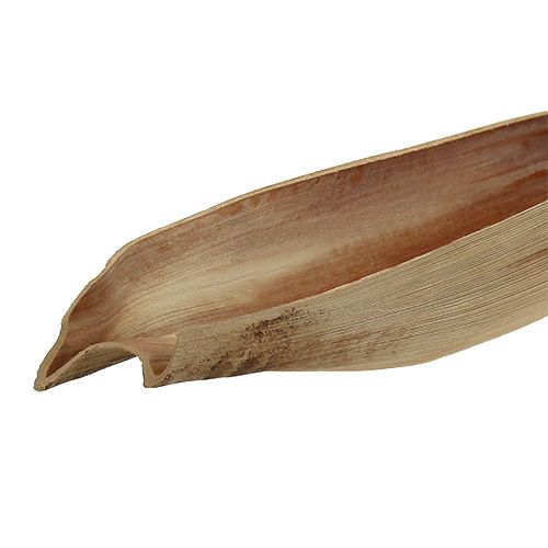 Floristik24 Kokosová miska palmový list 60-80cm přírodní