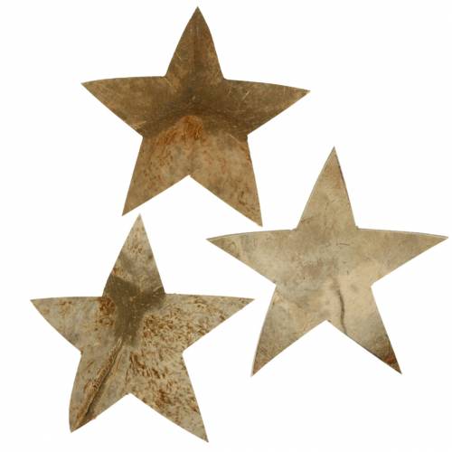 Floristik24 Kokosová hvězda přírodní 10cm 20ks Vánoční dekorace stříbrné dřevěné hvězdičky