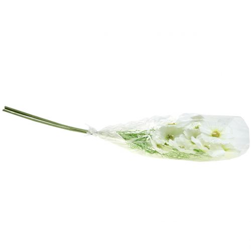 Floristik24 Cosmea bílá 77cm 3ks