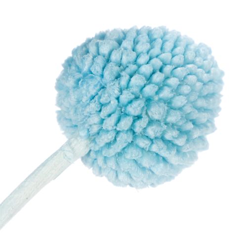 položky Dekorace ze sušených květin Craspedia do vázy, minimalistický styl, dlouhotrvající letní dekorace, 55 cm, 20 kusů