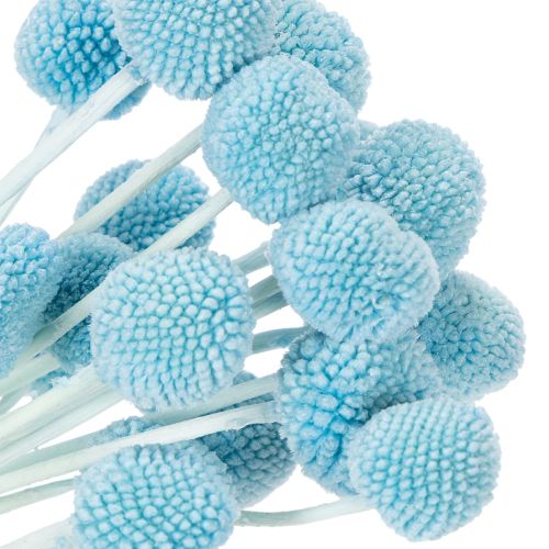 položky Dekorace ze sušených květin Craspedia do vázy, minimalistický styl, dlouhotrvající letní dekorace, 55 cm, 20 kusů