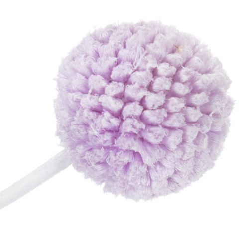 položky Sušené květiny Craspedia pro moderní dekoraci stolu ve vaší domácnosti, 55 cm, 20 kusů