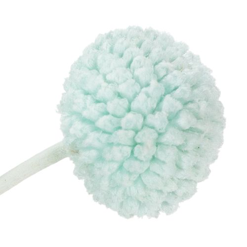 položky Sušené květy Craspedia, dekorativní kytice do obývacího pokoje, dekorace na stůl, svatba, 55 cm, 20 kusů