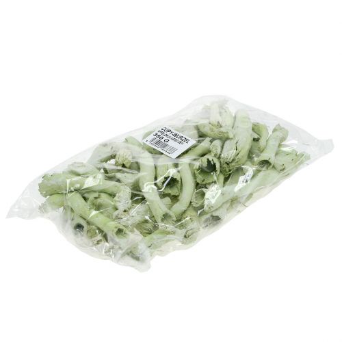 položky Cupy Roots, Pepe Cone světle zelená, bílá Washed 350g