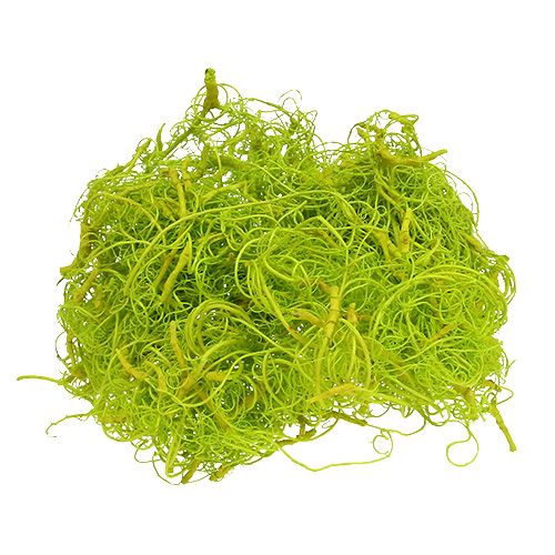 Floristik24 Kudrnatý mech světle zelený 350g