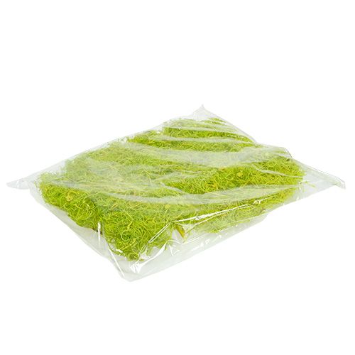 Floristik24 Kudrnatý mech světle zelený 350g