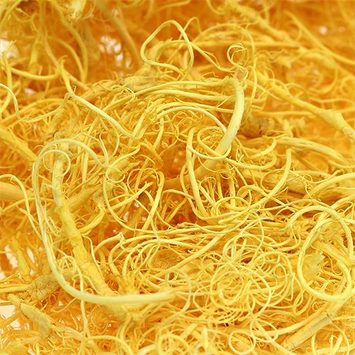 Floristik24 Kudrnatý mech světle žlutý 350g