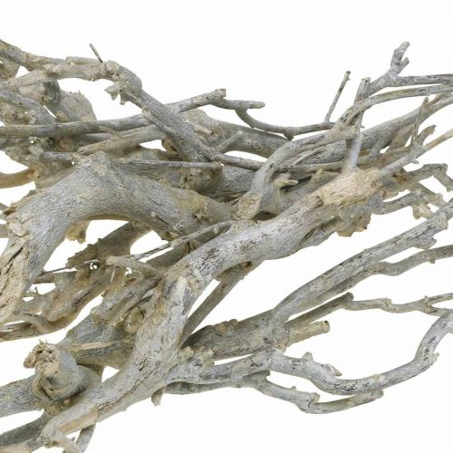 Floristik24 Kari ozdobné větvičky, vánoční dekorace, advent, přírodní dekorace Zlatá, praná bílá L25–30cm 500g