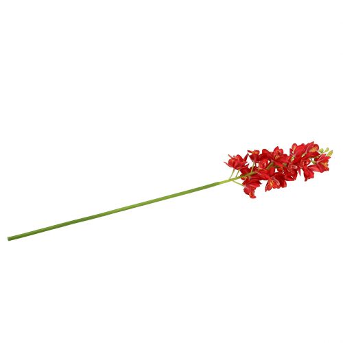 položky Orchidej Cymbidium červená 78cm