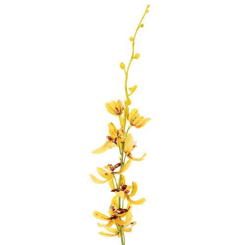 položky Umělá orchidej Cymbidium jako květinový stonek pro elegantní dekoraci, 95 cm, 2 kusy