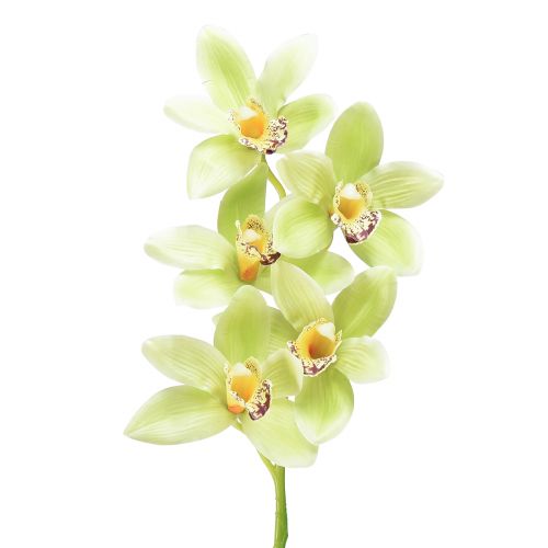 Floristik24 Cymbidium orchidej umělá 5 květů zelená 65cm