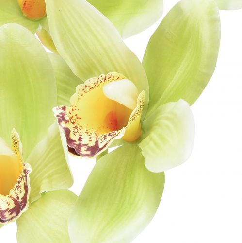 položky Cymbidium orchidej umělá 5 květů zelená 65cm