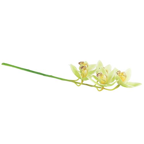 položky Cymbidium orchidej umělá 5 květů zelená 65cm