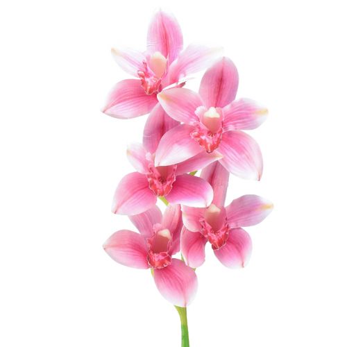 Cymbidium orchidej umělá 5 květů růžová 65cm