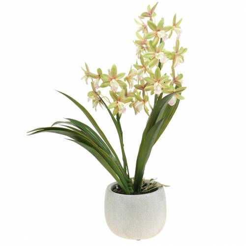 Floristik24 Orchidej Cymbidium Green v květináči Umělé H46cm