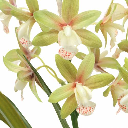 položky Orchidej Cymbidium Green v květináči Umělé H46cm