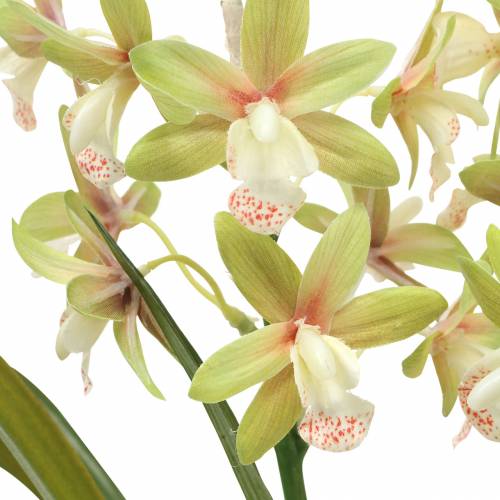 Floristik24 Orchidej Cymbidium Green v květináči Umělé H46cm