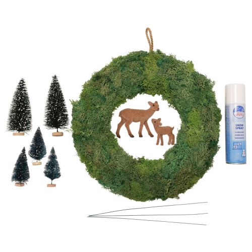 Floristik24 DIY box mechový věnec zimní lesní věnec na dveře vánoční Ø34cm