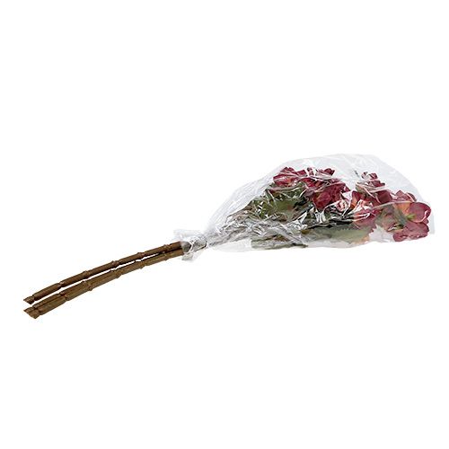 Floristik24 Jiřinka Erika Ø10cm L68cm 3ks