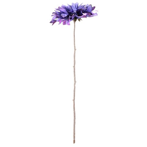 Floristik24 Umělá jiřina s velkými květy ve fialové L58cm
