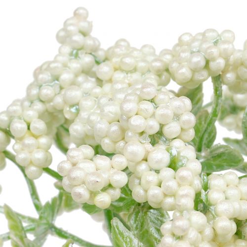 Floristik24 Ozdobná větev bobule bílá 24cm 5ks