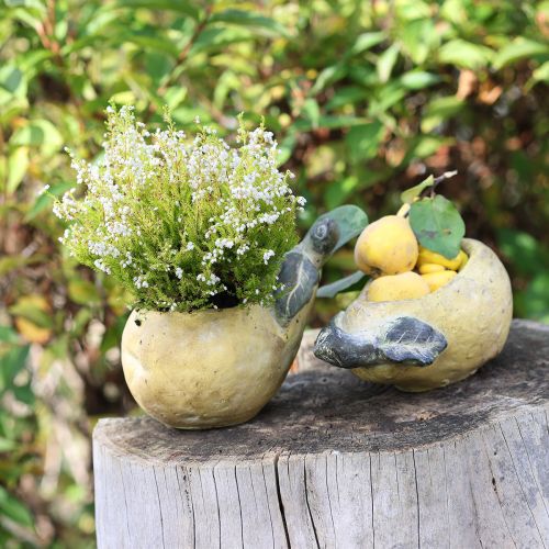 Floristik24 Dekorativní květináč na hrušky, podzimní betonový, 25×13×11 cm
