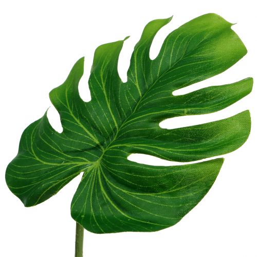 Floristik24 Deco Leaf Philo Leaf Green W11cm L29,5cm 3ks