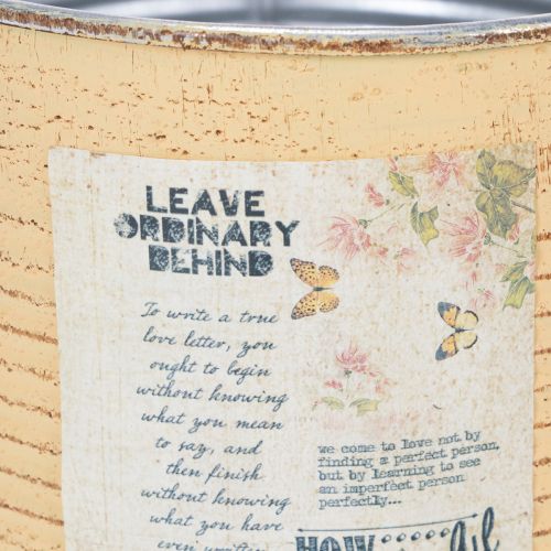 položky Dekorativní plech, meruňkový, kovový květináč, letní dekorace, Ø15,5 cm V15 cm