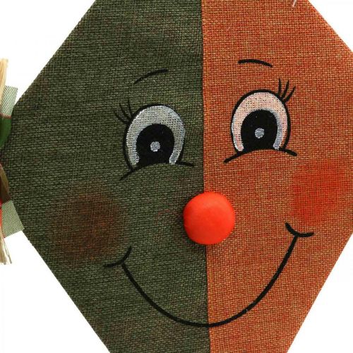 Floristik24 Deco drak na zavěšení různých barev 40cm 2ks