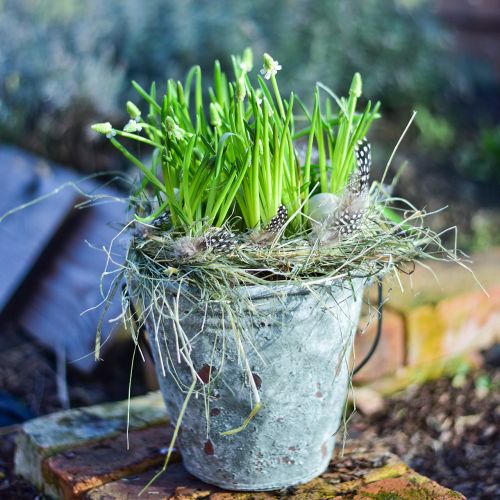 Floristik24 Dekorativní vědro, květináč, keramické vědro starožitného vzhledu Ø19,5cm H19cm