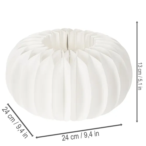 Papírový kroužek s voštinovou dýní, kulatý, velký, na sušené květiny a podzimní dekoraci 24cm, 4 ks | Floristik24.cz