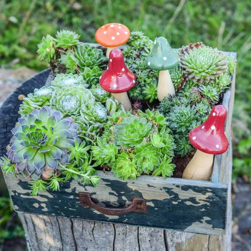 Floristik24 Dekorativní set muchomůrky oranžová, zelená, červená 10/12 / 14,8cm