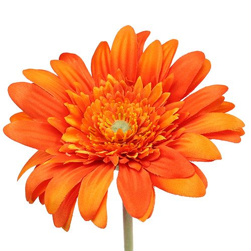 položky Deco gerbera oranžová Ø10cm L53cm 6ks