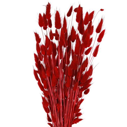 Dekorativní tráva Red Lagurus Sušené květiny Tráva z králičího ocasu 50g
