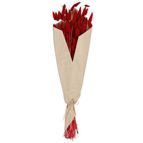 Floristik24 Dekorativní tráva Red Lagurus Sušené květiny Tráva z králičího ocasu 50g