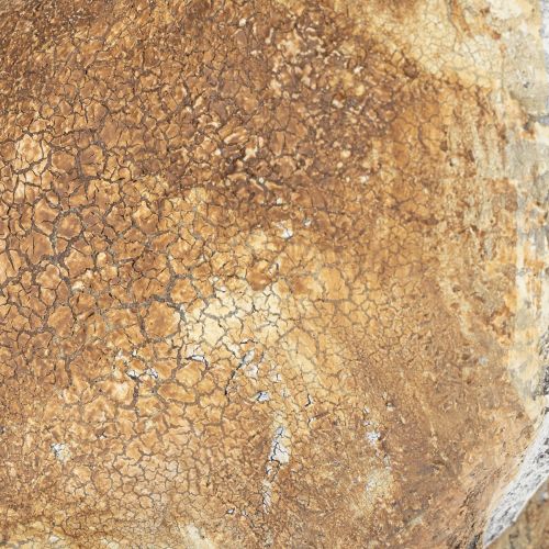 položky Dekorativní figurka králíka pro jarní doplněk domácnosti, 32 cm, 2 kusy