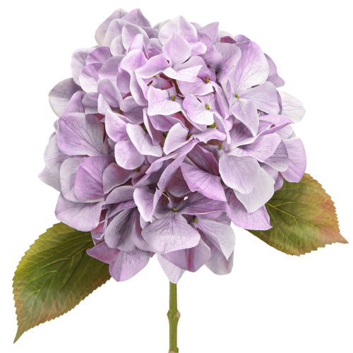 položky Dekorace Hortenzie Umělé květiny Fialový květ Ø18cm 69cm 2ks