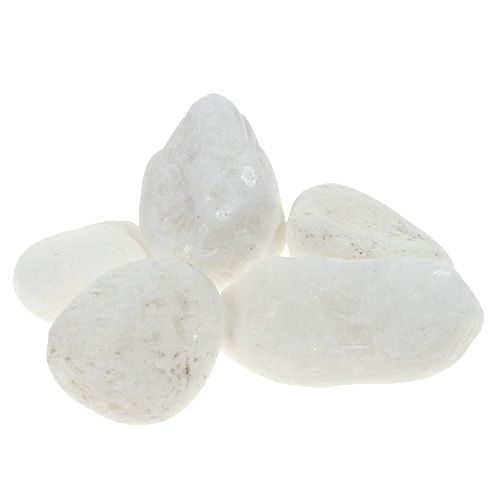 Floristik24 Deco oblázky do sítě bílé 1cm - 2,5cm 1kg