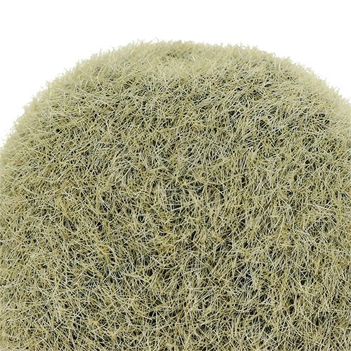 Floristik24 Dekorativní kiwi 6cm 6ks