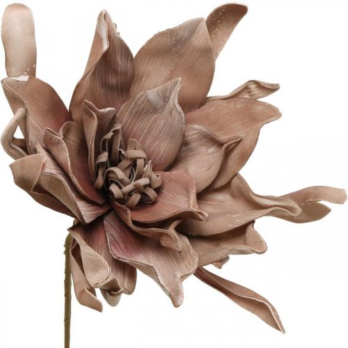 položky Deco lotosový květ umělý lotosový květ umělý květ hnědý L68cm