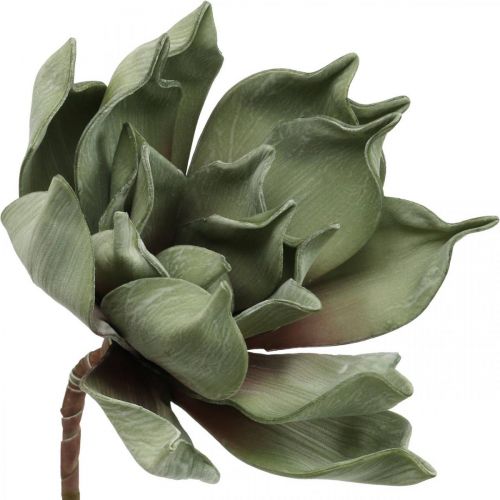 Floristik24 Deco lotosový květ, lotosový květ, hedvábný květ zelený L64cm