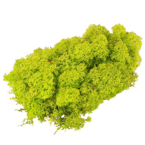 položky Deco mech světle zelený sobí mech konzervovaný 400g